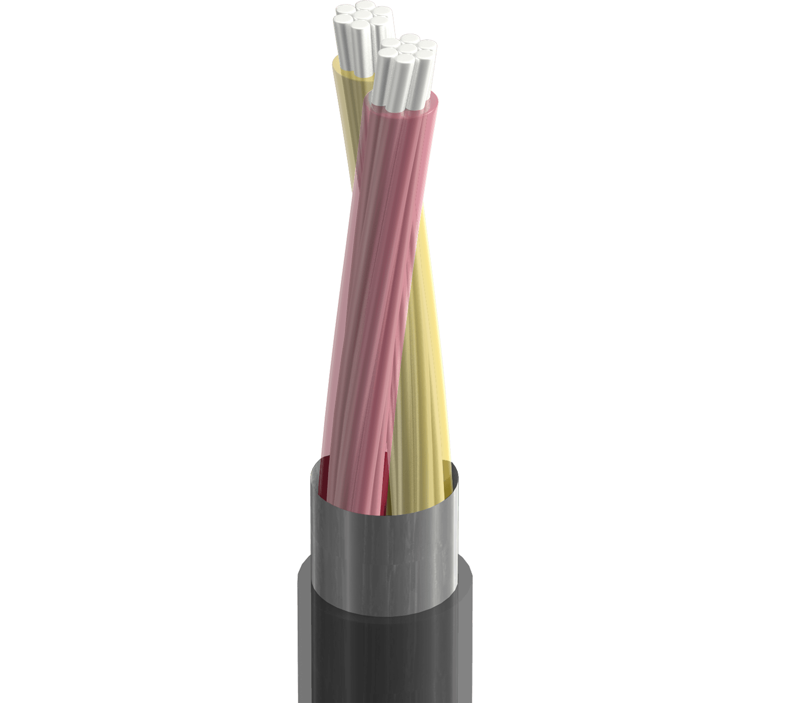Temperature product image (1)